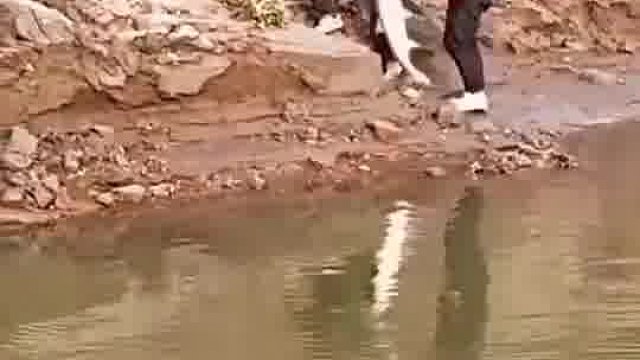 这绝对比老婆跑了还伤心