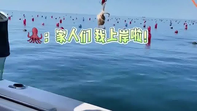 男子坐在船上海钓，钓到海鲜后就直接丢进烤盘