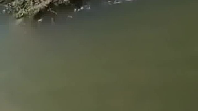 这鱼感觉比钓鱼人都大