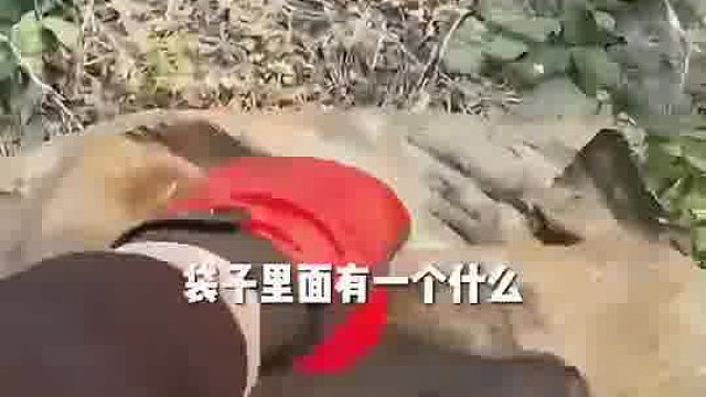 男子钓鱼钓上来一个蛇皮袋结果竟然是