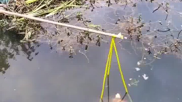 龙虾是这么钓的吗？