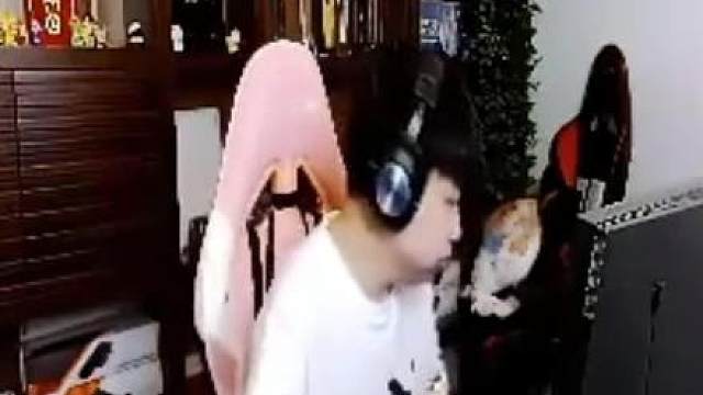 不多说来期颜值视频