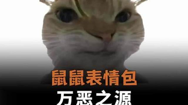 原来这就是万恶之源鼠鼠表情包的由来