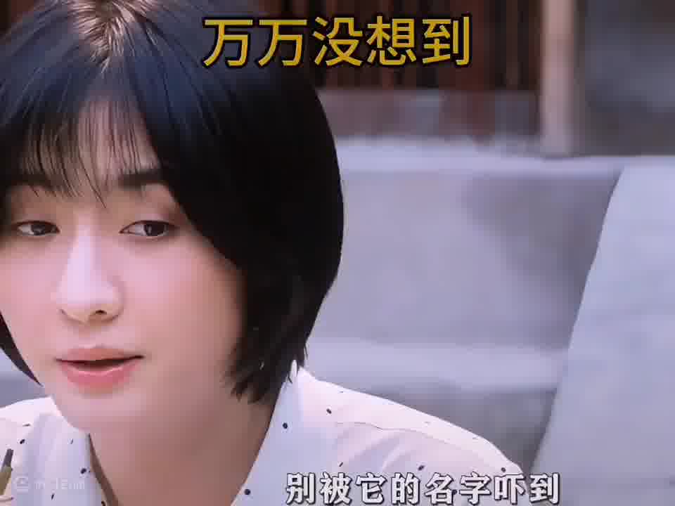 一个片段看了整部剧