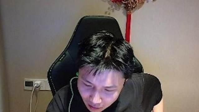 电子宠物在此
