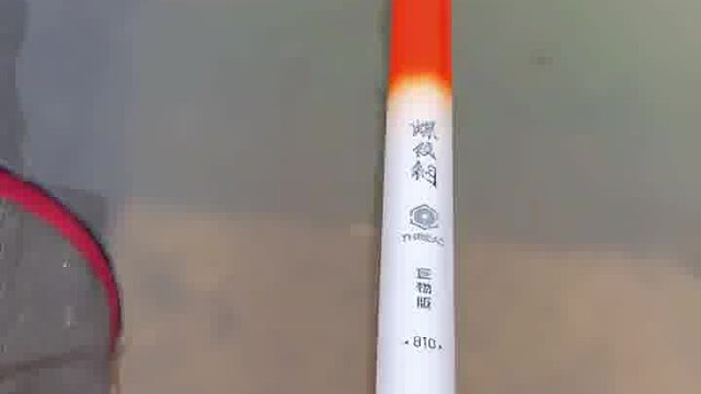 本来放生的！这下只能放生抽了