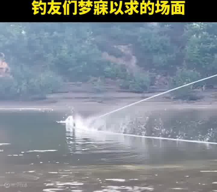 但凡让鱼跑了就是一辈子的遗憾