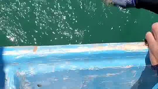 钓鱼跟不钓鱼的都沉默了。。。