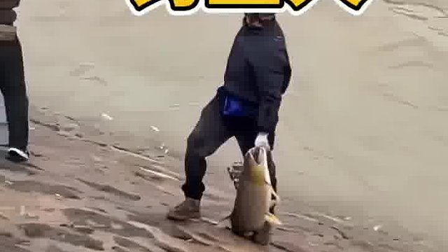 钓鱼人的心酸