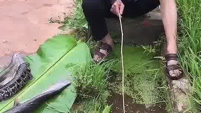 钓鱼这块我就服大爷你
