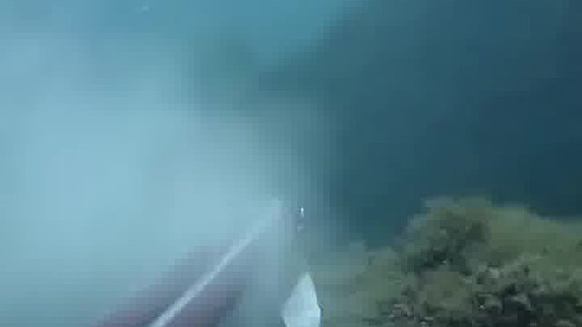 感谢大自然的馈赠