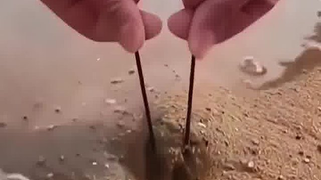 赶海发现狠货，看看究竟是个啥赶海发现狠货，看看究竟是个啥