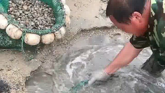 根本挖不完 。
