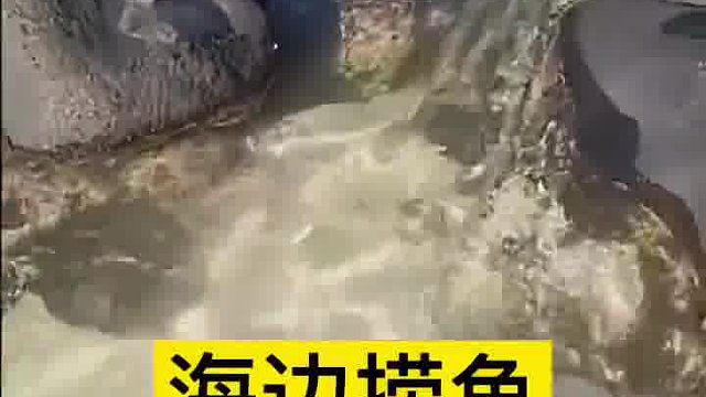 海边捕鱼，就是这么简单