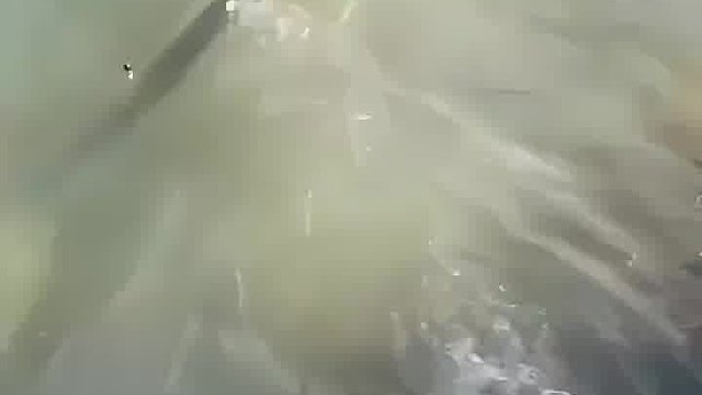 好家伙，第一眼看以为钓上来一个油锯