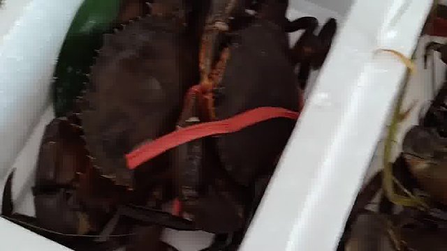 今天都是猛货