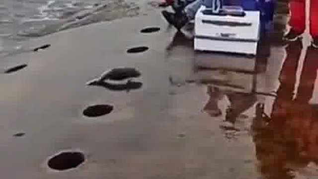 来自钓鱼人的倔强