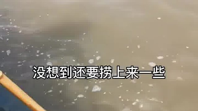 你认识这是什么吗？