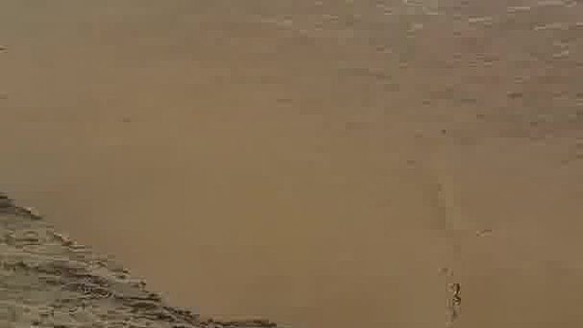 钱塘江刚退潮，男子迎着潮水，徒手抓了条大鱼上岸