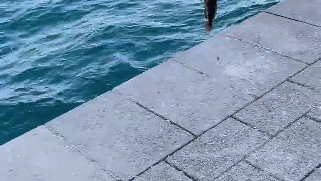随随便便！