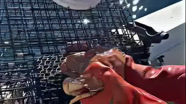 蟹老板怀了痞老板。