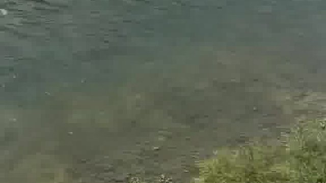 原来钓鱼才是运动顶流