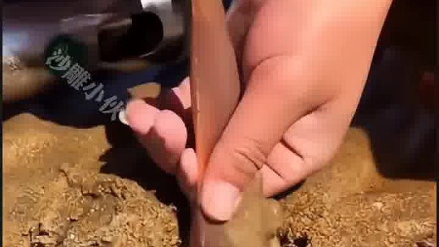 这到底是啥玩意？