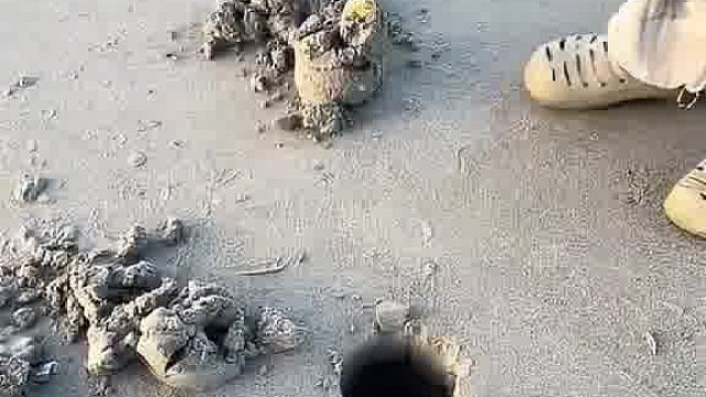 这是摆拍吗