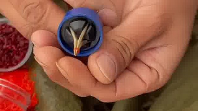 这样上饵真好，红虫钓鱼的不二之选