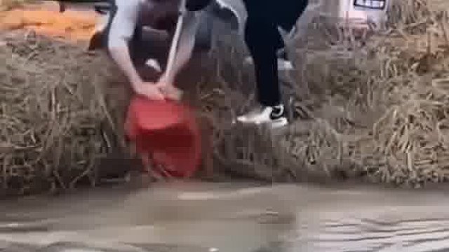 这一刻他们的友谊得到了升华