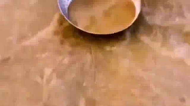 赶海抓海鲜