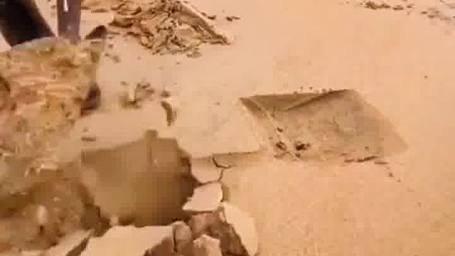 户外赶海抓海鲜
