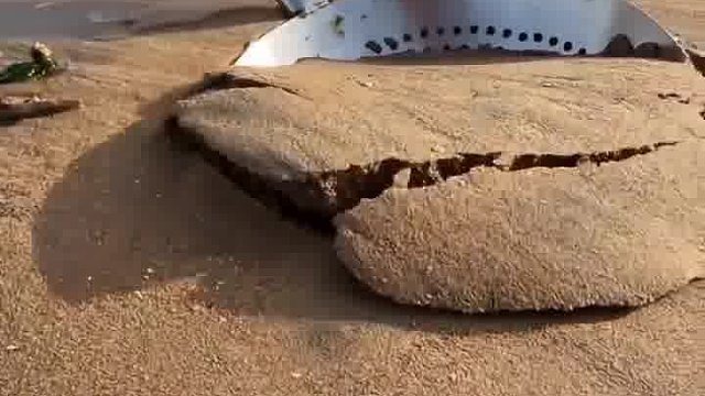 户外赶海抓海