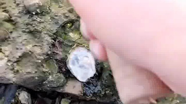 家住海边就是好。。