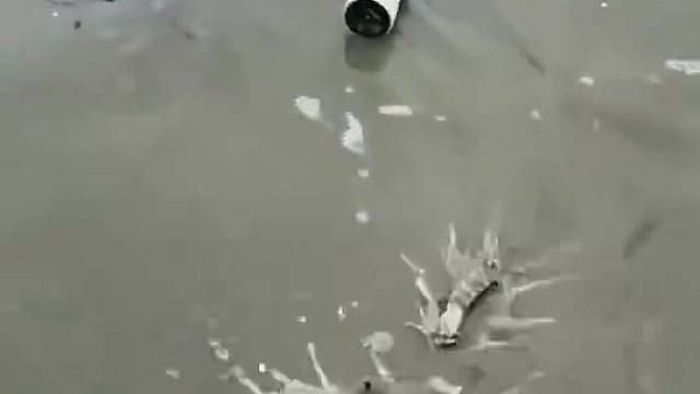 劳改虾？