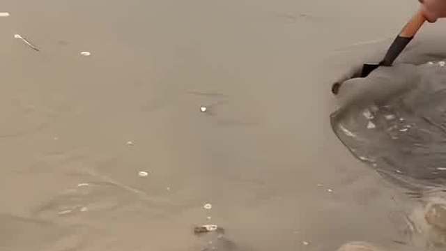 你跑不掉的