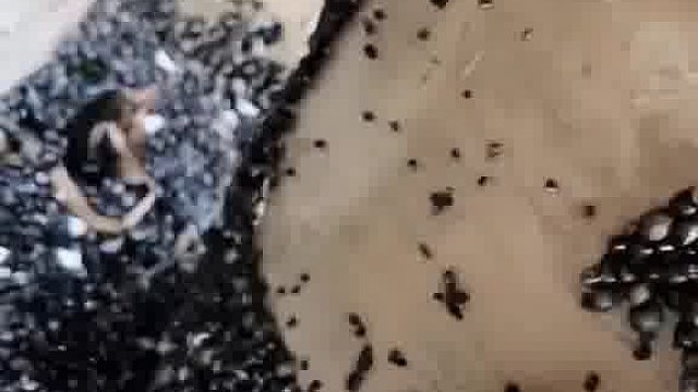 你喜欢这样的海边生活嘛？