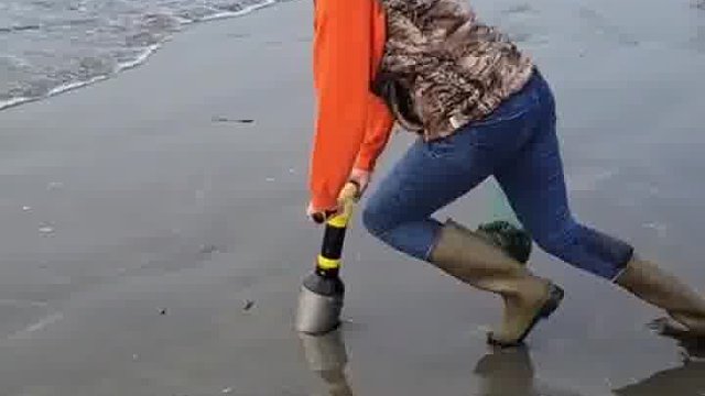 实锤了打完煤球来赶海