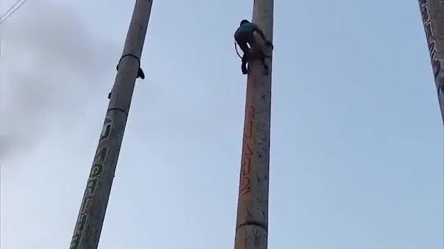 来自伐木工人的爬高比赛