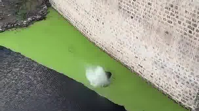 极限跳水