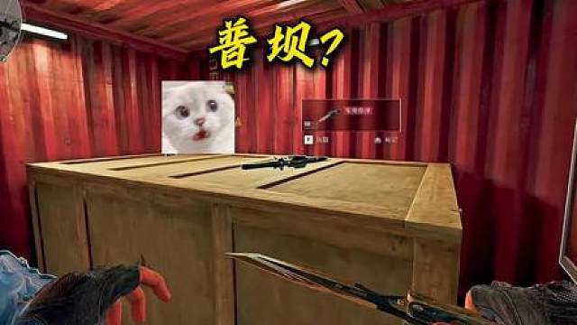 这能是普坝的爆率？