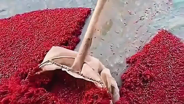 这东西是活的呀