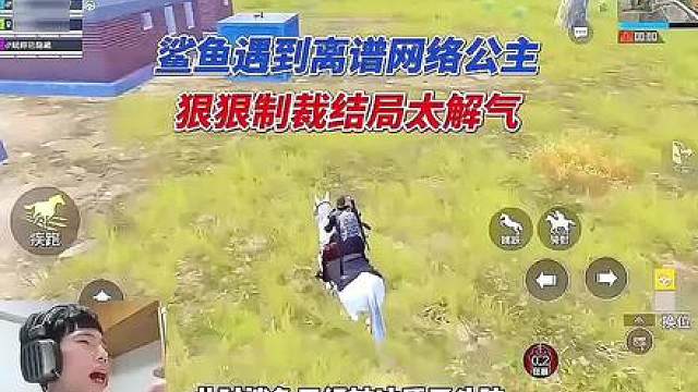 鲨鱼遇到离谱网络公主，狠狠制裁结局太解气
