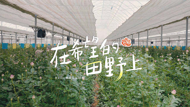 Meiko助农公益短片



赛场上， 以辅助之名保护队友、游走全局；赛场下，田野怀着热爱与责任，助
