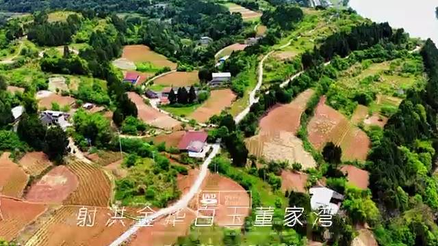 四川射洪金华白玉董家湾