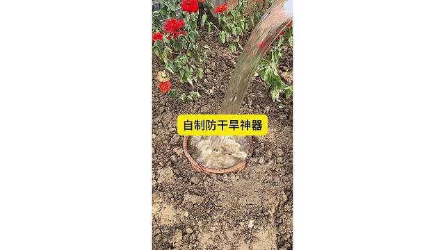 自制防干旱神器