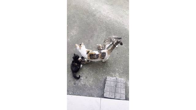 互动