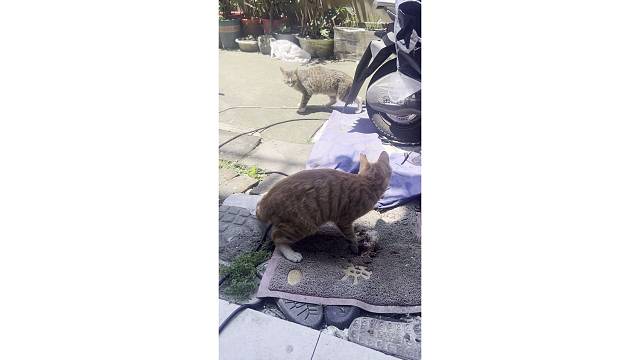 对视