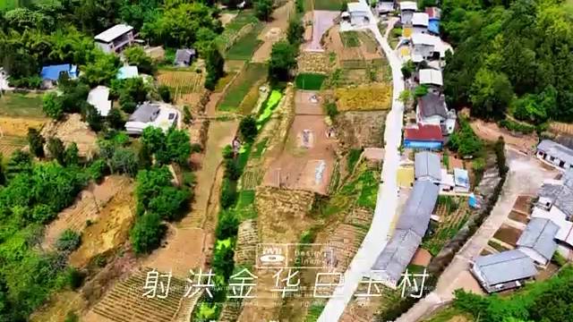 四川射洪金华镇伯玉村