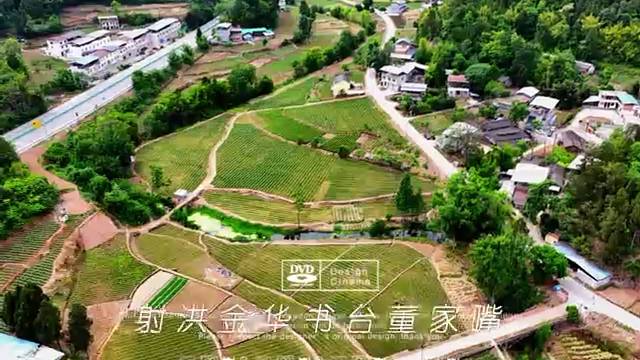 四川射洪金华书台董家嘴